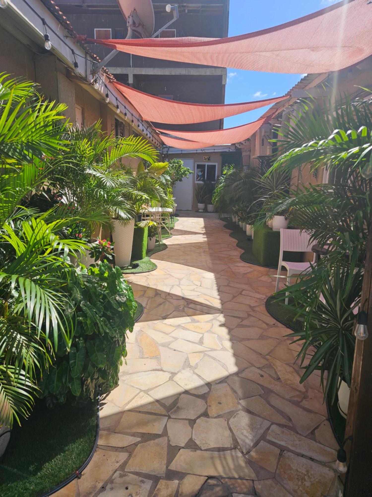 The Jazmine'S Apartment A Oranjestad Dış mekan fotoğraf